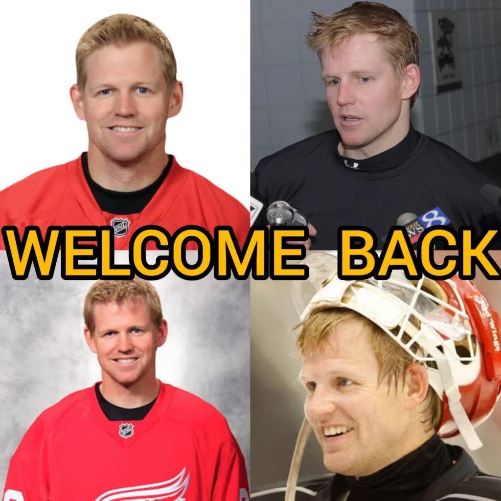 Detroit wings