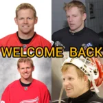Detroit wings
